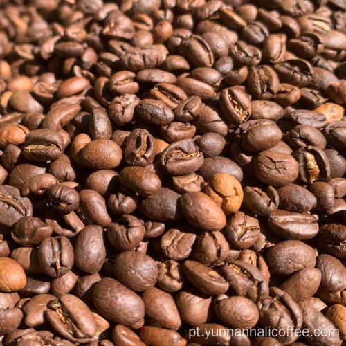 Grãos de café Aurora Bright